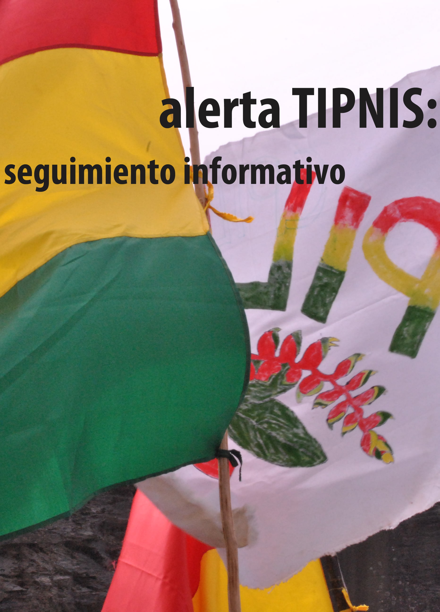 Consulta TIPNIS: COMPENDIO DE INFORMES Consulta TIPNIS: COMPENDIO DE INFORMES