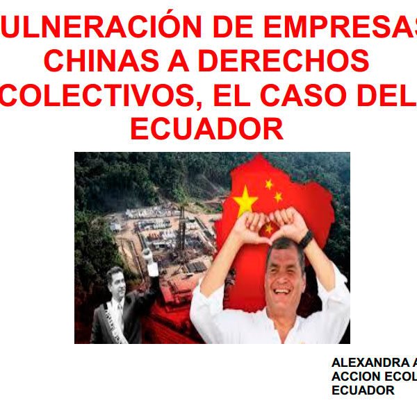 Vulneración de empresas chinas a derechos colectivos. El caso del Ecuador Vulneración de empresas chinas a derechos colectivos. El caso del Ecuador