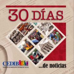 Anuario 2010, 30 Días de noticias