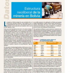 Estructura neoliberal de la minería en Bolivia (Petropress 13, enero 2009)