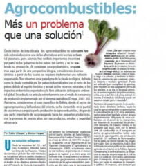 Agrocombustibles, más un problema que una solución (Petropress 14, 03.09)