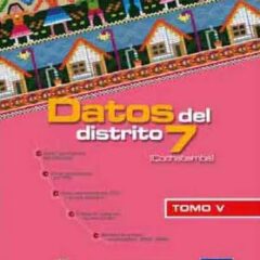 Datos de la zona sur. Distrito 7