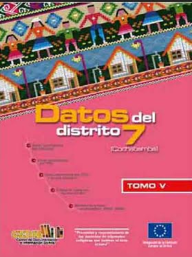 Datos de la zona sur. Distrito 7