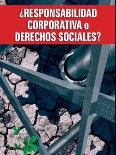 ¿Responsabilidad compartida o derechos sociales?