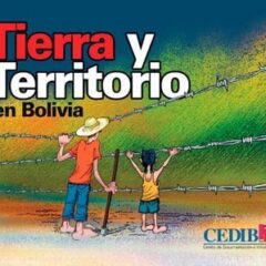 La participación, el tema de la territorialización