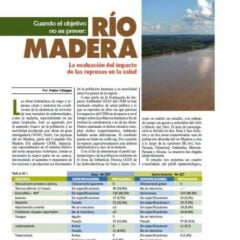 Río Madera: La evaluación del impacto de las represas en la salud (Petropress 17, 10.09)