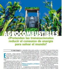 AGROCOMBUSTIBLES: El turbio negocio de la energía limpia