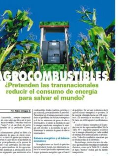 AGROCOMBUSTIBLES: El turbio negocio de la energía limpia