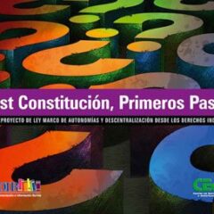 Post Constitución, Primeros Pasos | El Anteproyecto LMAD desde los derechos indígenas