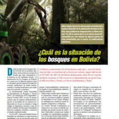 ¿Cuál es la situación de los bosques en Bolivia? (Petropress 19, 5.10)