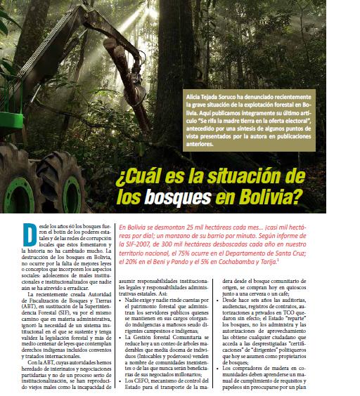 ¿Cuál es la situación de los bosques en Bolivia? (Petropress 19, 5.10)