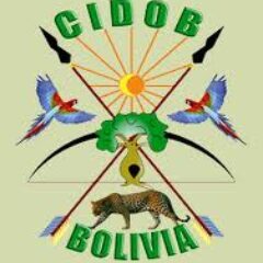 CIDOB: «IX MARCHA INDÍGENA AMENAZADA POR GRUPOS DE CHOQUE PARA-GUBERNAMENTALES» (3.7.2012)