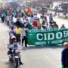 La marcha es una decisión autónoma de los pueblos indígenas de las tierras bajas