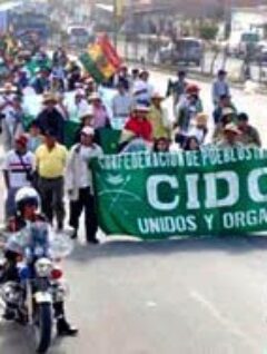 La marcha es una decisión autónoma de los pueblos indígenas de las tierras bajas