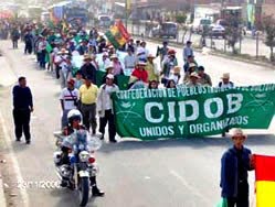 La marcha es una decisión autónoma de los pueblos indígenas de las tierras bajas