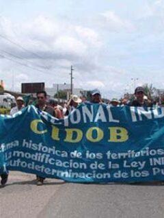 El gobierno viola los derechos constitucionales indígenas