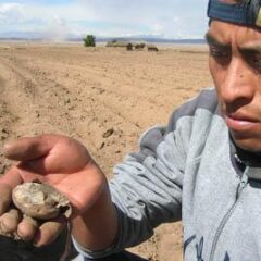 Carta Ministerio de Desarrollo Rural