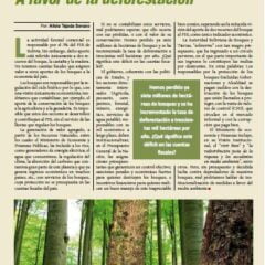 A favor de la deforestación (Petropress 21, 8.10)