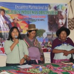 Resolución del V encuentro nacional de mujeres indígenas originarias de Bolivia