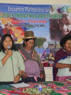 Resolución del V encuentro nacional de mujeres indígenas originarias de Bolivia