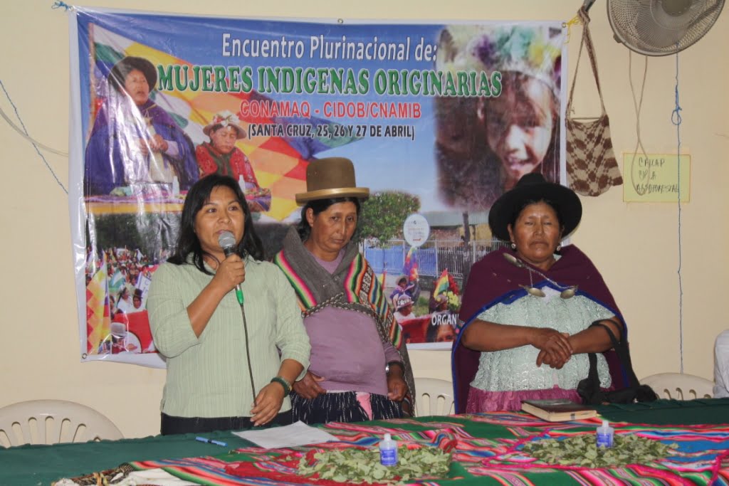 Resolución del V encuentro nacional de mujeres indígenas originarias de Bolivia