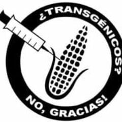 Manifiesto CONAMAQ: Contra transgénicos