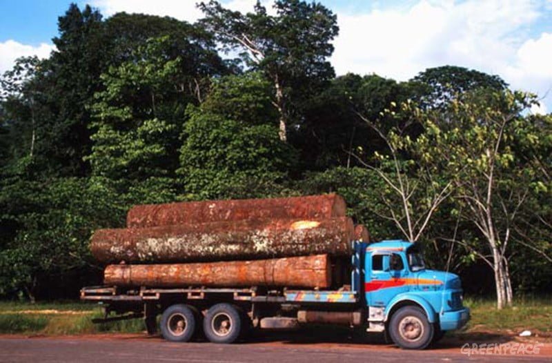 Posición del sector campesino de Pando en relación a las conseciones forestales maderables y no maderables en la amazonia Boliviana