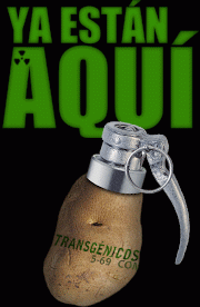 Por la prohibición del uso de transgénicos. Carta abierta al Presidente Morales (09/06/2011)