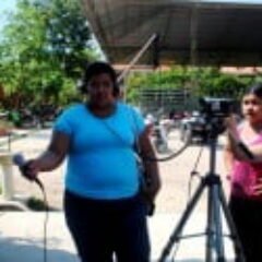 Las diferencias, reportaje veloz