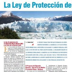 ARGENTINA: La Ley de Protección de los Glaciares (Petropress 22, 9.10)
