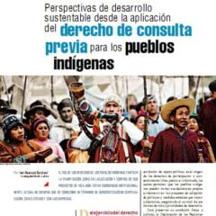 Perspectivas de desarrollo sustentable desde la aplicación del derecho de consulta previa para los pueblos indígenas (Petropress 26, 9.11)