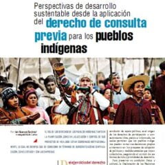 Petropress 26 | Perspectivas de desarrollo sustentable desde la aplicación del derecho de consulta previa para los pueblos indígenas