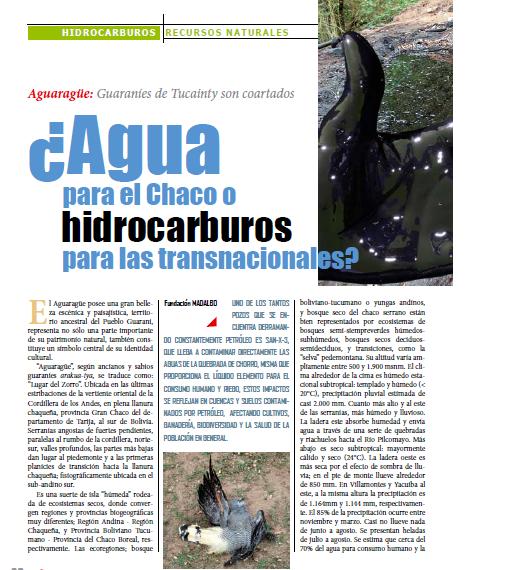 ¿Agua para el Chaco o hidrocarburos para las transnacionales? (Petropress 25, 6.11)