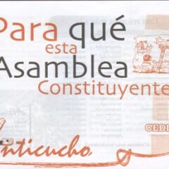 ¿Para qué ésta Asamblea Constituyente?.