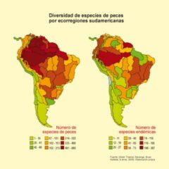 Diversidad de especies de peces por ecoregiones sudamericanas