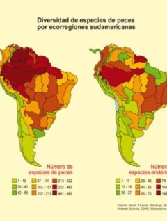 Mapa | Diversidad de especies de peces por ecoregiones sudamericanas