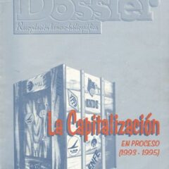 La capitalización en proceso (1993-1995)