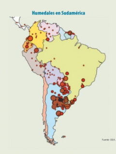 Mapa | Humedales en Sudamérica