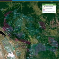 Áreas protegidas, concesiones forestales y TCOs (satelital)