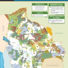 Sanemiento de tierras, concesiones forestales y TCOs