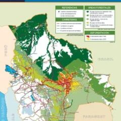 Infraestructura vial, recursos forestales y deforestación