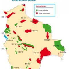 Áreas importantes para la conservación de aves en Bolivia