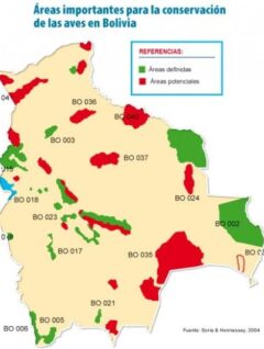 Mapa | Áreas importantes para la conservación de aves en Bolivia