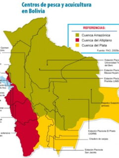 Mapa | Centros de pesca y acuicultura en Bolivia