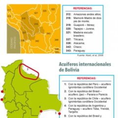 Subcuencas de Bolivia y caracter transnacional