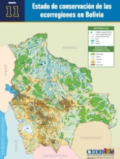 Mapa Estado de conservación de las ecorregiones en Bolivia