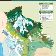 Concesiones forestales y TCOs