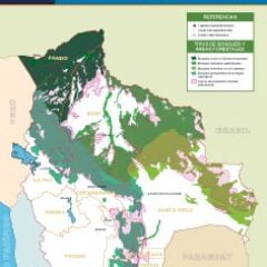 Áreas forestales y tierras de producción forestal permanente