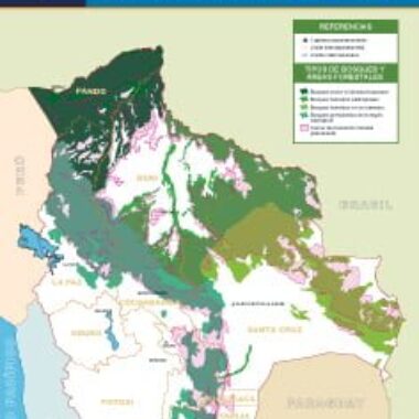 Áreas forestales y tierras de producción forestal permanente
