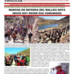 Marcha en defensa del Mallku Qota inició hoy desde esa comunidad (CONAMAQ, 28.5.2012)